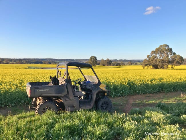 8221 Brookton Highway Jelcobine WA 6306 8221 Brookton Highway Jelcobine WA 6306