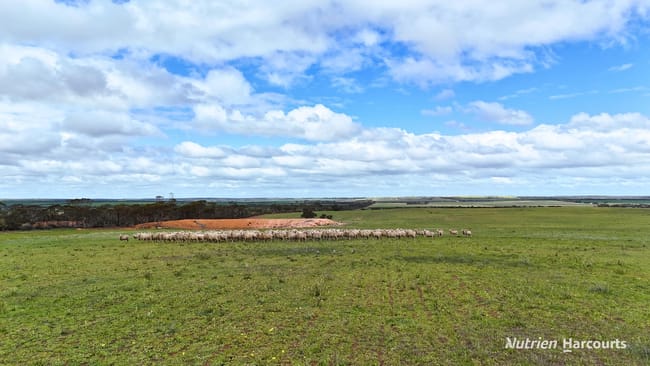 Lot 1 Calzoni Road Woolocutty WA 6369
