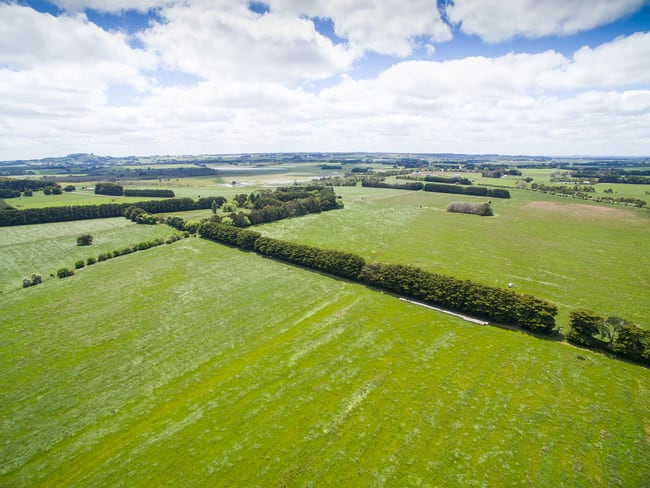 1140 Curdies-Leichfield Road Cobrico VIC 3266 1140 Curdies-Leichfield Road Cobrico VIC 3266