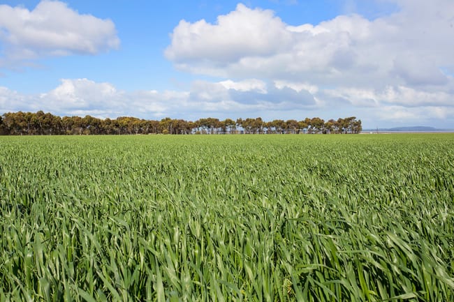 2170 Foxhow Road Foxhow VIC 3323