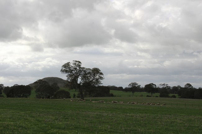 Mt Cavendish Road Cavendish VIC 3314 Mt Cavendish Road Cavendish VIC 3314