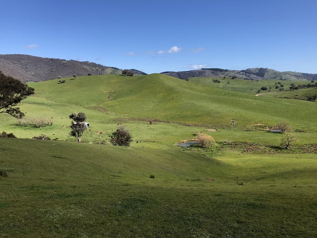 . Spring Creek Road Tallangatta Valley VIC 3701 . Spring Creek Road Tallangatta Valley VIC 3701