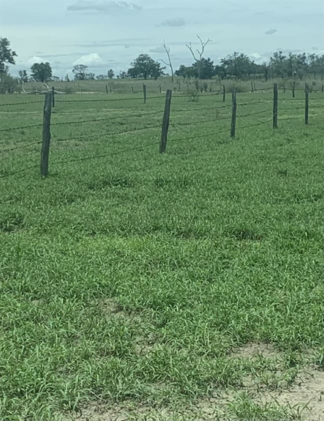 0 Tambo-Alpha Road Tambo QLD 4478