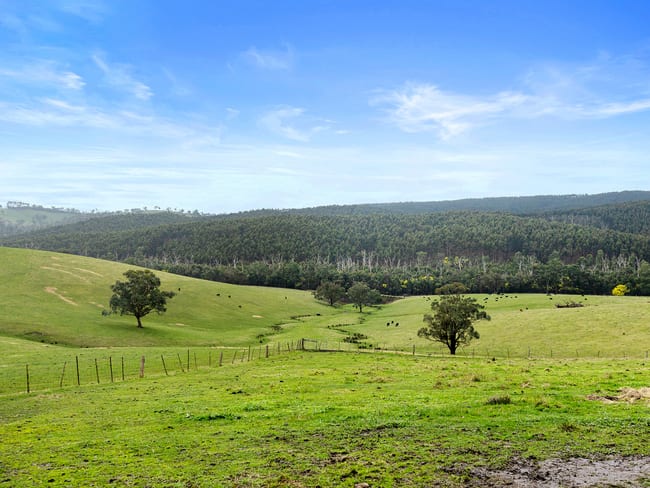 2 PS440697A, 225 North Mountain Road Heathcote Junction VIC 3758 2 PS440697A, 225 North Mountain Road Heathcote Junction VIC 3758