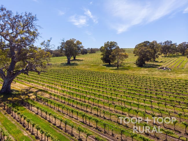 705/ Craneford Road Flaxman Valley SA 5235 705/ Craneford Road Flaxman Valley SA 5235