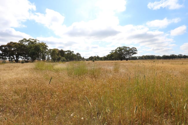 CA 23 24, 25, 26 & 28 Sect 7A Alma Bowenvale Road Bowenvale VIC 3465 CA 23 24, 25, 26 & 28 Sect 7A Alma Bowenvale Road Bowenvale VIC 3465