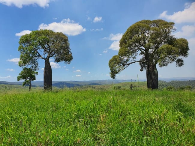 Tellebang Road Monto QLD 4630 Tellebang Road Monto QLD 4630