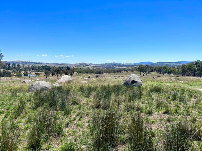 Lot 322 Jenkyn Lane Uralla NSW 2358