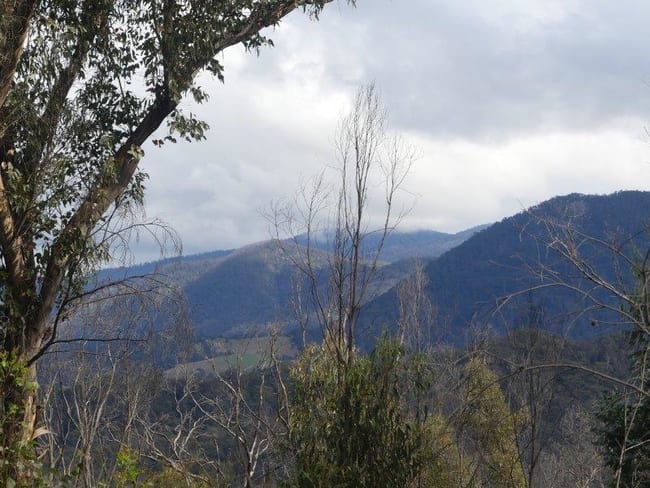 Lot 119 Orchard Lane Rocky Hall NSW 2550 Lot 119 Orchard Lane Rocky Hall NSW 2550