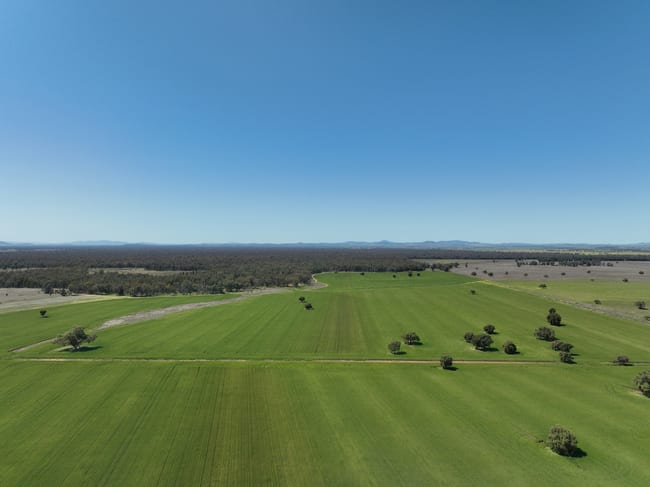 142 Sawpit Creek Road Gunnedah NSW 2380 142 Sawpit Creek Road Gunnedah NSW 2380