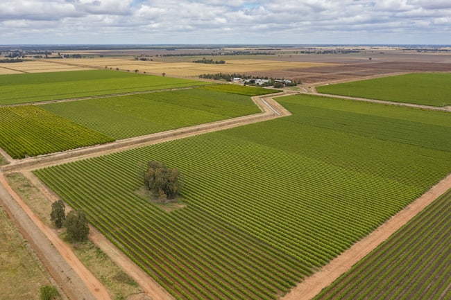 126 & 127 Yate Road Leeton NSW 2705 126 & 127 Yate Road Leeton NSW 2705