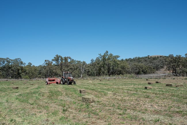 Geurie NSW 2818