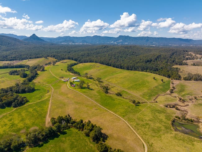 80 Mortons Road Killabakh NSW 2429