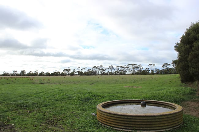 Old Manns Beach Road Hunterston VIC 3971