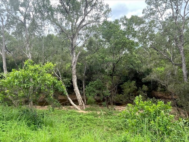 Lot 22 Peninsula Developmental Rd. Lakeland QLD 4871