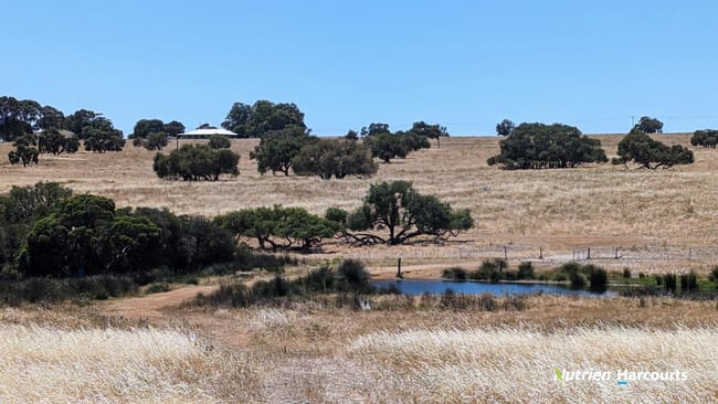 374 Mogumber Road Red Gully WA 6503 374 Mogumber Road Red Gully WA 6503