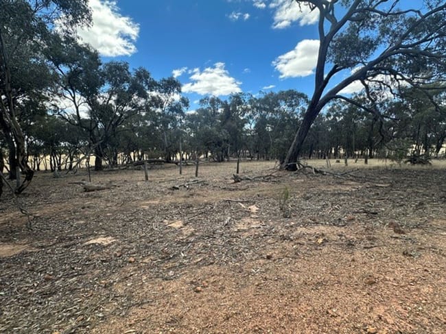 C/A 3P Sec A Bealiba-Rheola Road Cochranes Creek VIC 3475 C/A 3P Sec A Bealiba-Rheola Road Cochranes Creek VIC 3475