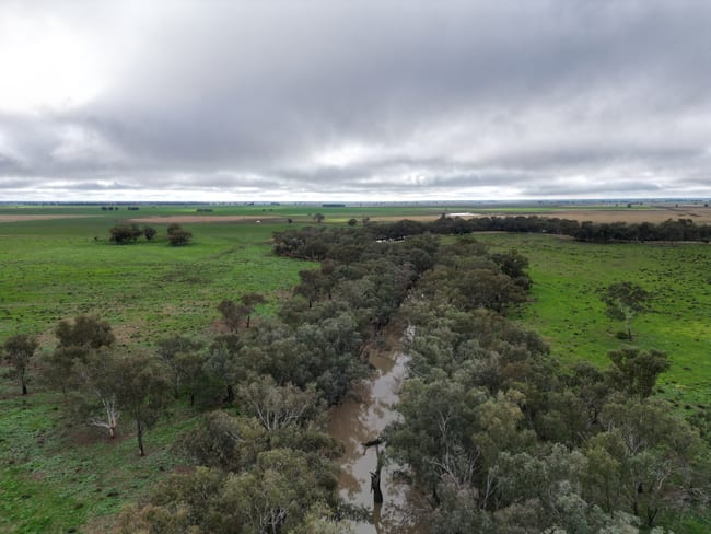 2758 Collie Trangie Road Trangie NSW 2823 2758 Collie Trangie Road Trangie NSW 2823