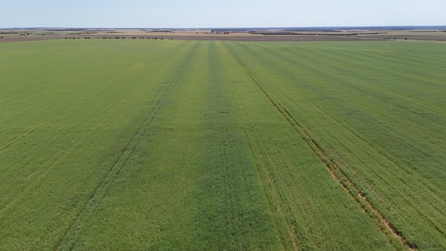 2064 Binnu Road East Ogilvie WA 6535 2064 Binnu Road East Ogilvie WA 6535