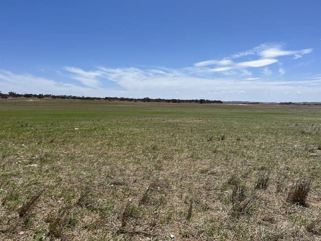 1723 Wharminda Road Butler SA 5605 1723 Wharminda Road Butler SA 5605
