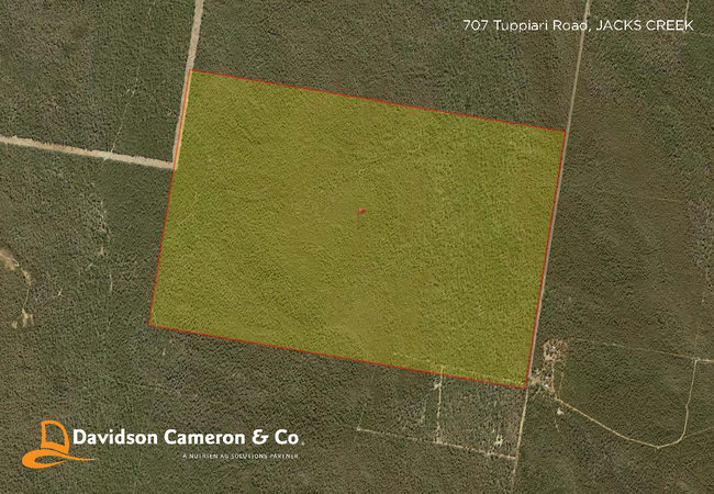707 Tuppiari Road Jacks Creek NSW 2390