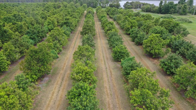 North Gregory QLD 4660 North Gregory QLD 4660
