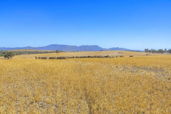 6A,6B,6A1 Burrumbeep Road Willaura North VIC 3379 6A,6B,6A1 Burrumbeep Road Willaura North VIC 3379