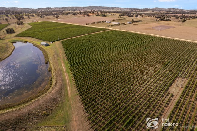 70 Shiraz Drive Gulgong NSW 2852 70 Shiraz Drive Gulgong NSW 2852