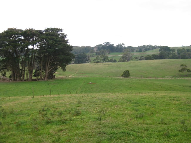 36 Reids Road Irishtown TAS 7330 36 Reids Road Irishtown TAS 7330