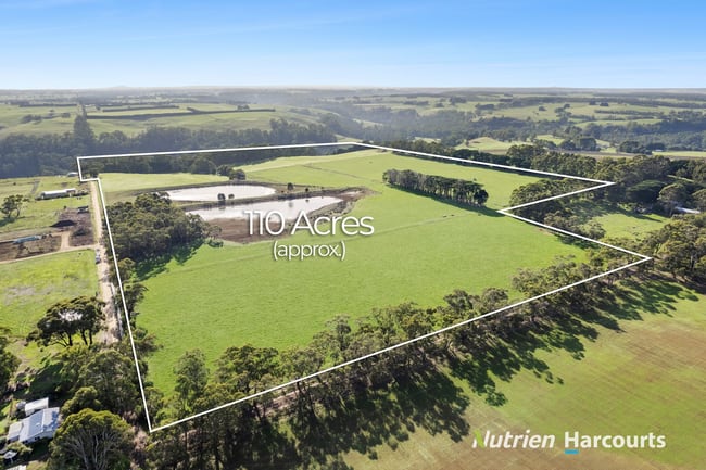 39 Noskin Road Timboon VIC 3268