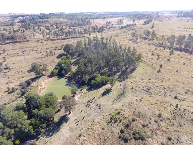 1377 Dangore Mountain Road Dangore QLD 4610 1377 Dangore Mountain Road Dangore QLD 4610