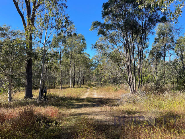 323 Eureka Road Golden Fleece QLD 4621