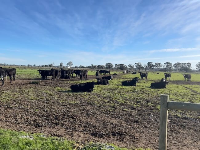 00 Corner Myall & Koondrook - Murrabit Road Myall VIC 3579