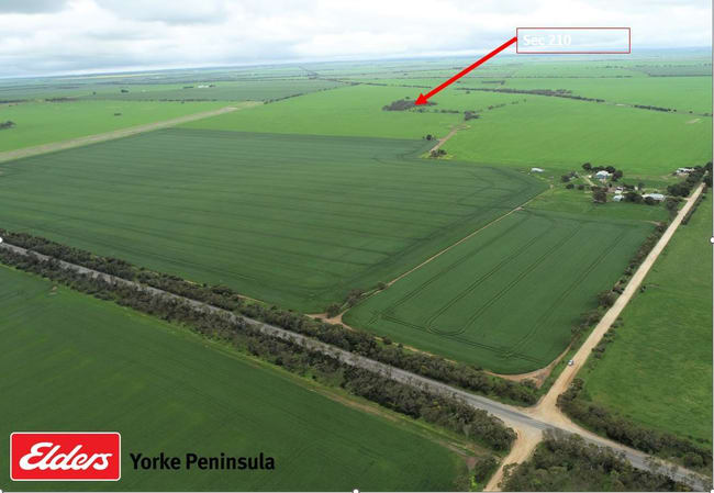 Sec 210 Pine Point Road Maitland SA 5573