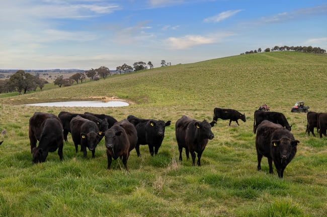 43 Byng Road Guyong NSW 2798