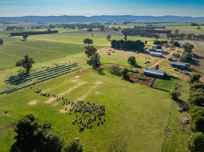 501 Mandagery Road Mandagery NSW 2870 501 Mandagery Road Mandagery NSW 2870