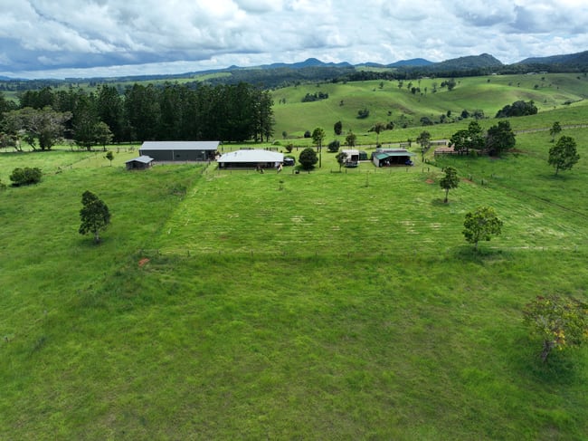210 Pheasant Rd Millaa Millaa QLD 4886 210 Pheasant Rd Millaa Millaa QLD 4886