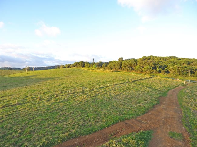 0 Boar Pocket Rd Danbulla QLD 4872 0 Boar Pocket Rd Danbulla QLD 4872