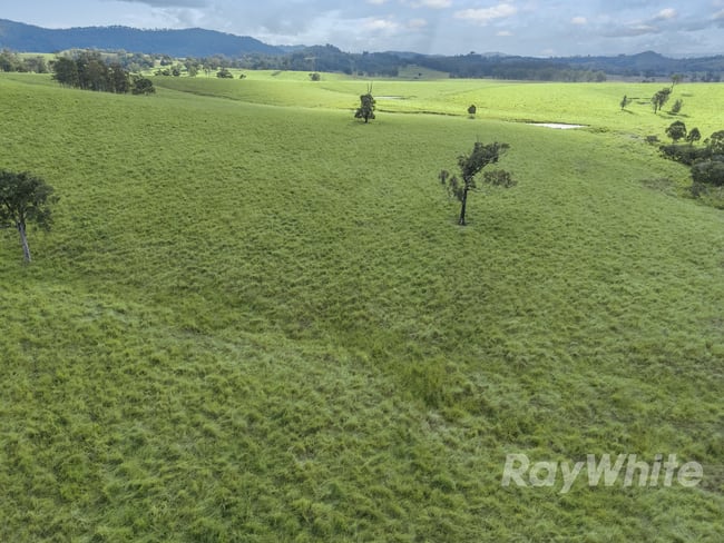 4469 Clarence Town Road Dungog NSW 2420