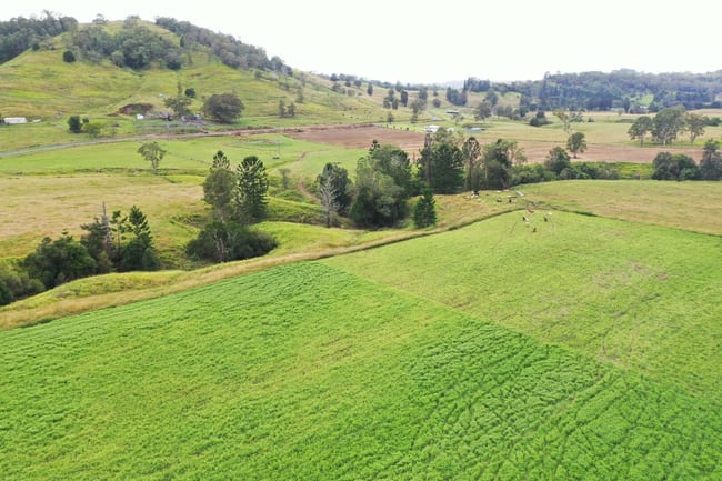 590 Rock Valley Rd Lismore NSW 2480 590 Rock Valley Rd Lismore NSW 2480