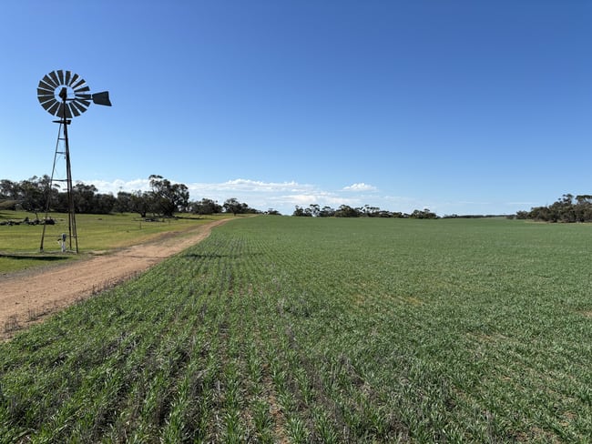 Lot 52 Larne Drive Mount Wedge SA 5670 Lot 52 Larne Drive Mount Wedge SA 5670