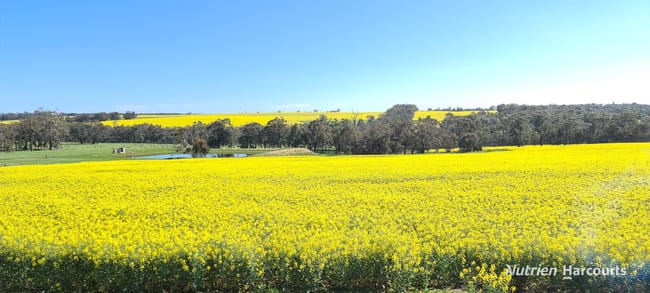 1606 Wingebellup Road Frankland River WA 6396