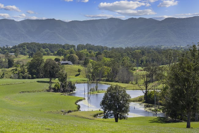 703 Brays Creek Road Brays Creek NSW 2484 703 Brays Creek Road Brays Creek NSW 2484