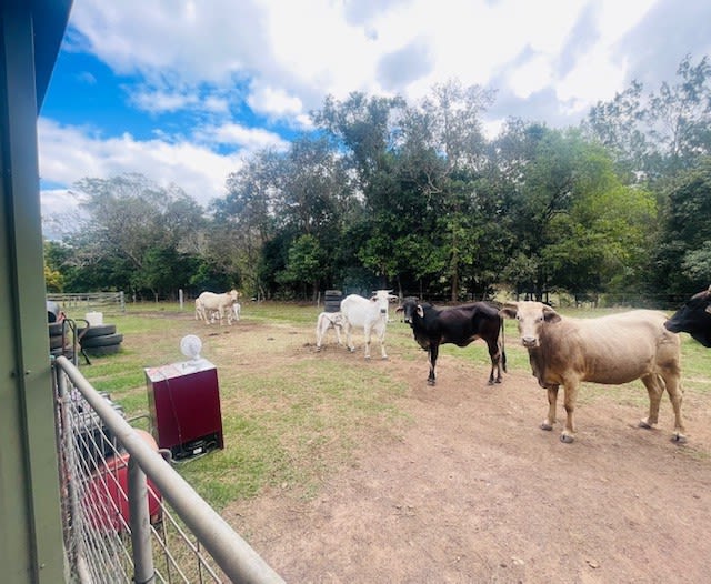 248 Middle Creek Road Sarina QLD 4737 248 Middle Creek Road Sarina QLD 4737