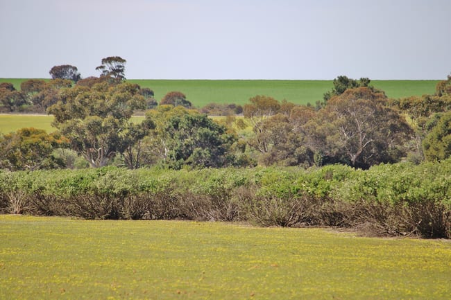 Lot 14 Kulin/Dudinin Road Dudinin WA 6363 Lot 14 Kulin/Dudinin Road Dudinin WA 6363