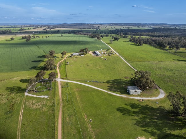 1450 Castlereagh Highway Gulgong NSW 2852 1450 Castlereagh Highway Gulgong NSW 2852
