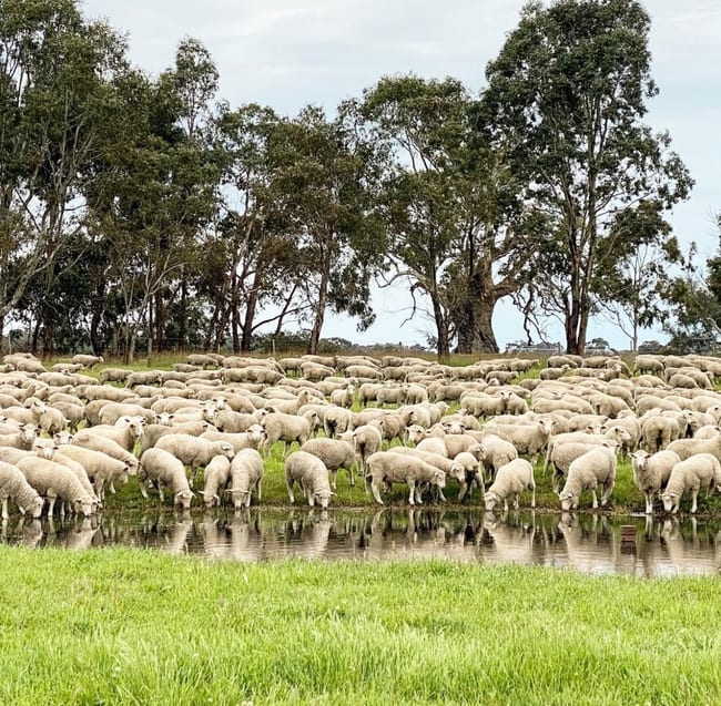 Lot/11 Casterton Apsley Road Apsley VIC 3319 Lot/11 Casterton Apsley Road Apsley VIC 3319