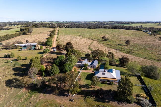 251 Pattersons Lane Young NSW 2594 251 Pattersons Lane Young NSW 2594