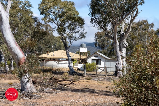 388 Peak View Rd Numeralla NSW 2630