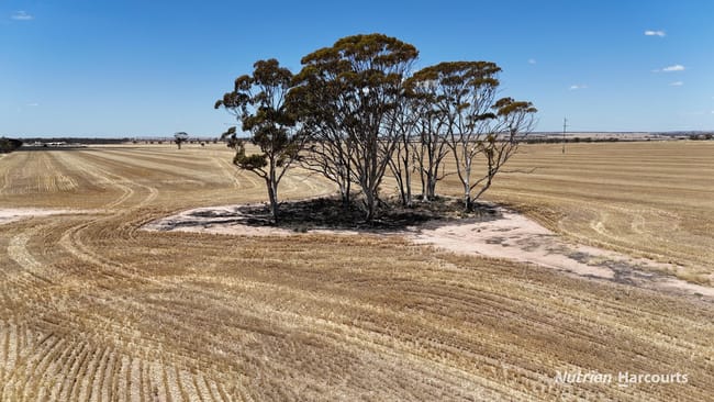 18984 Great Eastern Highway South Doodlakine WA 6411 18984 Great Eastern Highway South Doodlakine WA 6411